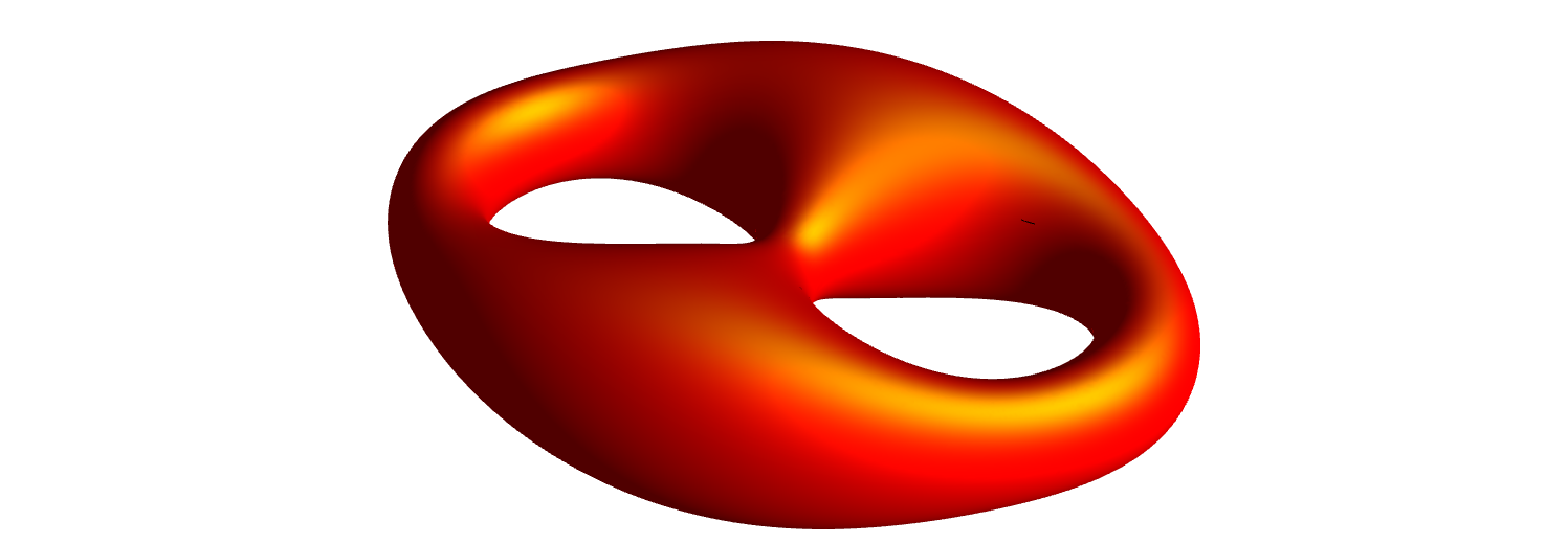 Genus two surface